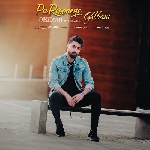 دانلود آهنگ پروونه ی قلبم بهزاد ملک زاده